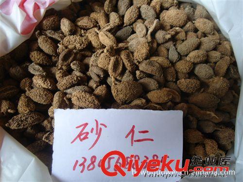 供應各種規格砂仁,綠砂，縮砂原始圖片2