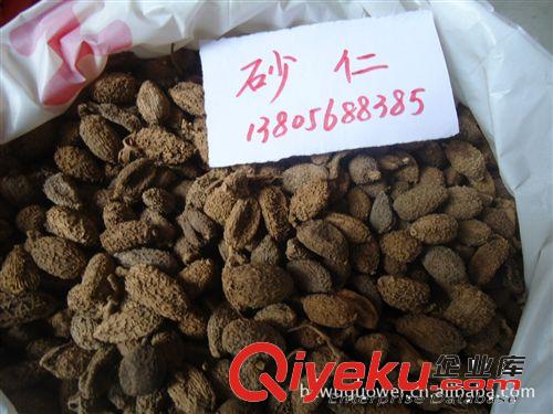 供應各種規格砂仁,綠砂，縮砂原始圖片3