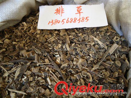 供應各種優質排草原始圖片2