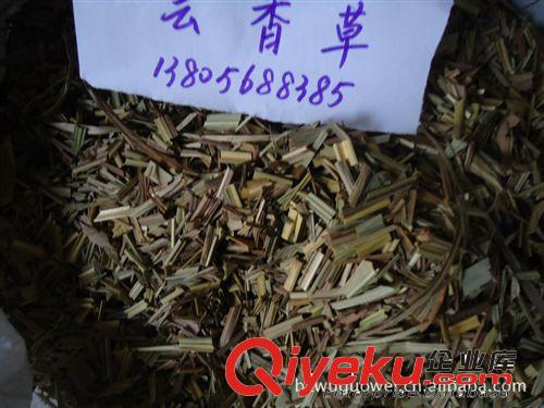 供應(yīng)優(yōu)質(zhì)蕓香草,云香草，檸檬草，香茹