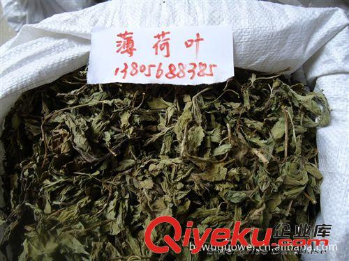 供應(yīng)各種規(guī)格中藥材優(yōu)質(zhì)薄荷葉，薄荷，薄荷油，薄荷腦