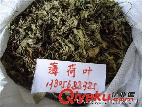 供應(yīng)各種規(guī)格中藥材優(yōu)質(zhì)薄荷葉，薄荷，薄荷油，薄荷腦