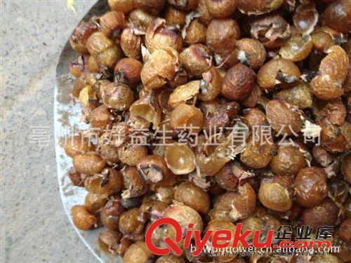 批發(fā)山菠蘿,滴血蓮花菩提子原料
