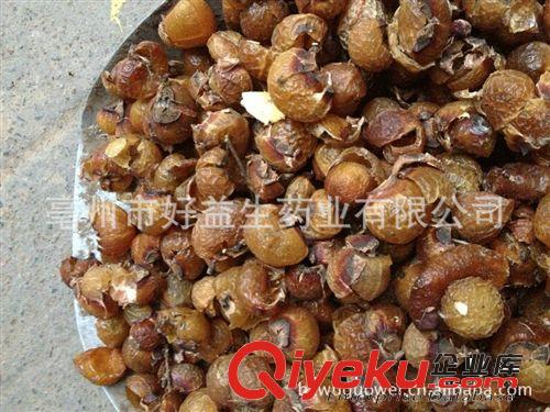 批發原料無患子種子 無患子皮  無患子佛珠原始圖片3