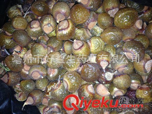 批發(fā)工藝品用山桃核，龍紋桃核，