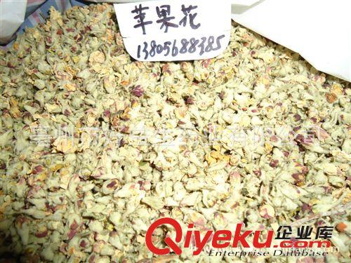 供應(yīng)優(yōu)質(zhì)花果茶蘋果花