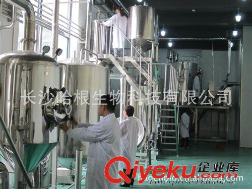 哈根廠家供應 綠咖啡豆提取物 綠原酸10%-50% （可商檢）