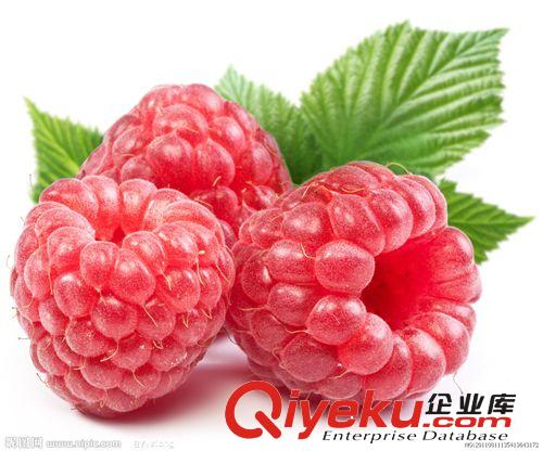 廠家直銷覆盆子酮99% Raspberry Ketone 99%（jf良方）