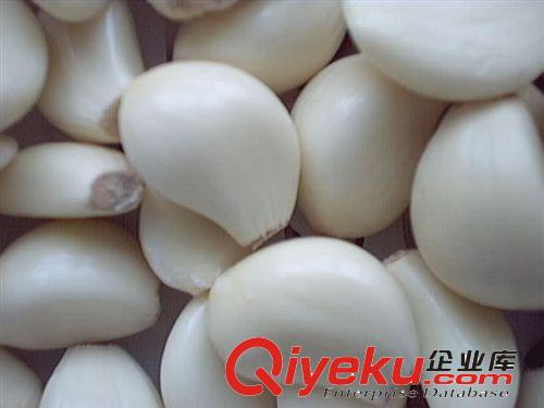 植提廠家供應大蒜提取 大蒜素2% 可供商檢原始圖片2