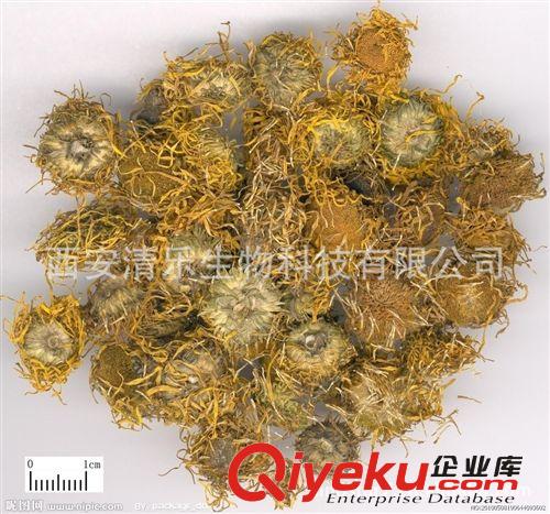 旋覆花提取物 旋覆花黃酮 清樂生物廠家直銷原始圖片2