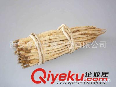 廠家專(zhuān)業(yè)生產(chǎn)萊陽(yáng)參提取物 北沙參提取物 海沙參提取物zyjl