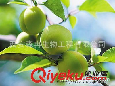 專業(yè)生產(chǎn)結(jié)香花提取物 金腰袋提取物 打結(jié)花提取物 夢冬花提取物