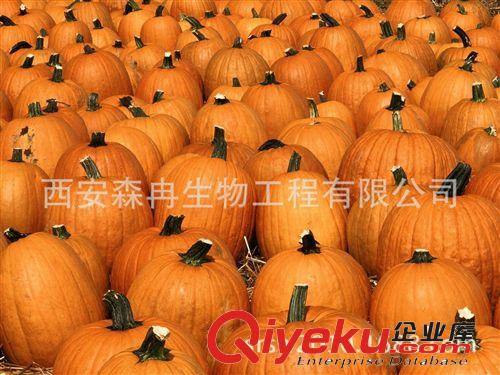 廠家供應(yīng){ctr} 脫水南瓜粉品質(zhì)好無沉淀 森冉生物原始圖片3