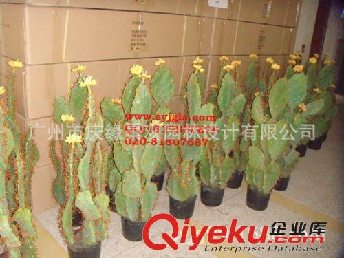 櫥窗裝飾精品1m高仙人掌帶花仿真植物各類多肉人造植物批發(fā)