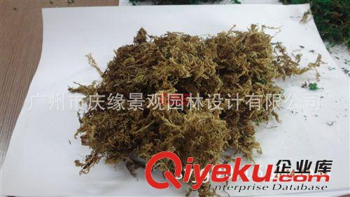 厂家直销特级仿真青苔苔藓人造草装饰草可定制红青苔黄青苔