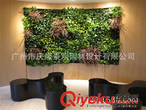 承建立体仿真植物墙工程 垂直绿化仿真花草墙 绿化仿真植物草墙