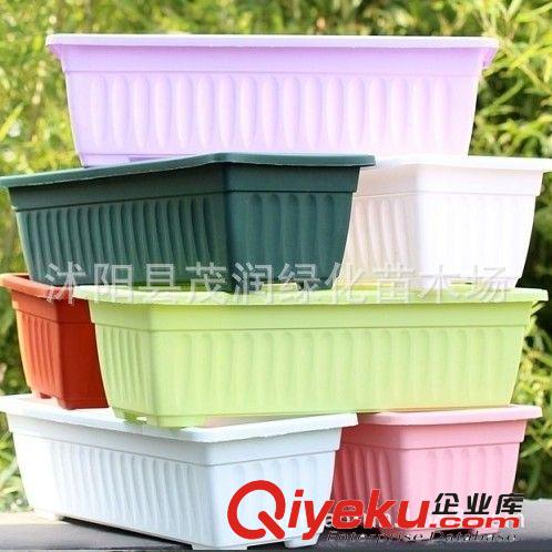 家庭園藝花盆 陽臺種菜花盆 長方形花槽 大型植物盆栽塑料盆原始圖片3