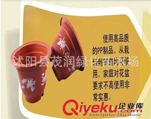 批發(fā)磚紅色塑料花盆 結(jié)實(shí)硬塑耐用 圓型古典花盆 中國(guó)風(fēng)園藝花盆原始圖片3