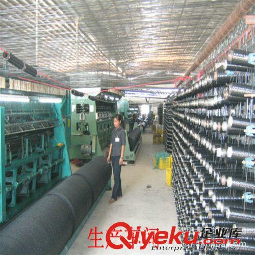 直銷 小雞網(wǎng) 塑料網(wǎng) 3厘米網(wǎng)眼 結(jié)實(shí)耐用 壽命長 雞網(wǎng) 圈雞網(wǎng)
