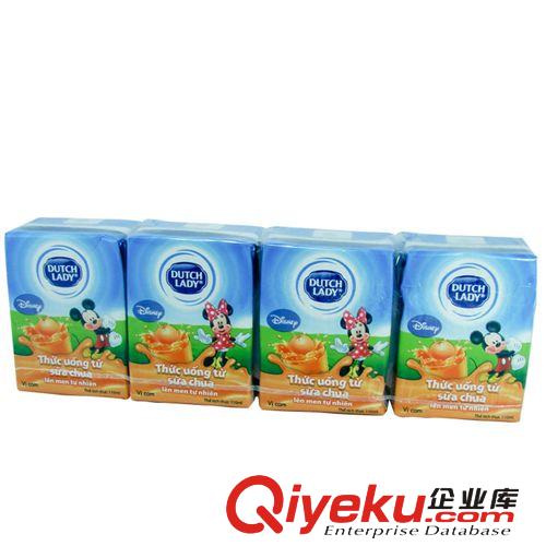 荷蘭菲仕蘭Dutch Lady子母奶兒童飲品批發110ml  食品飲料招商原始圖片2