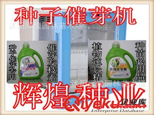 早熟禾種子  老鷹草種子    實體店經(jīng)營  貨到付款