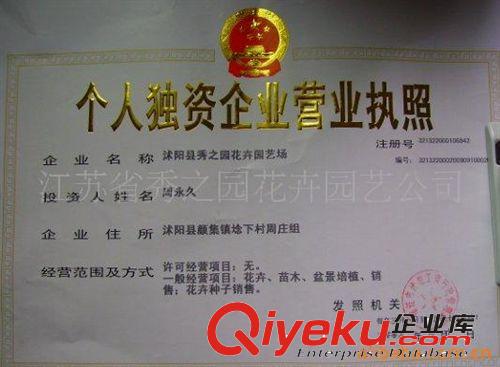 甜椒種子 紫色甜椒種子 家庭 陽(yáng)臺(tái) 種菜 蔬果 好種8粒原始圖片2