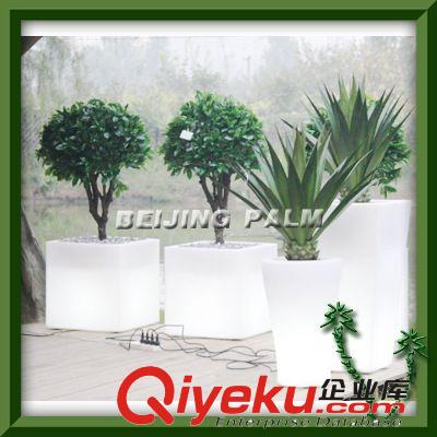 供應(yīng)：花卉裝飾 藝術(shù)插花 仿真花 大型藝術(shù)插花 花藝 花卉裝飾