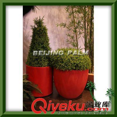 供應：假樹造型樹-菲格爾造型樹、各種仿真造型樹、家居裝飾{sx}原始圖片2