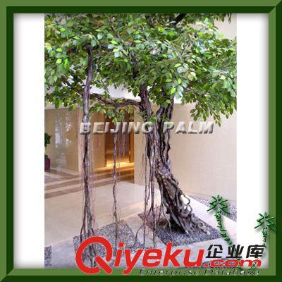 供應(yīng)：仿真古榕樹、小葉古榕樹、古榕樹景觀大門原始圖片2
