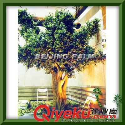 供應(yīng)：仿真古榕樹、小葉古榕樹、古榕樹景觀大門原始圖片3