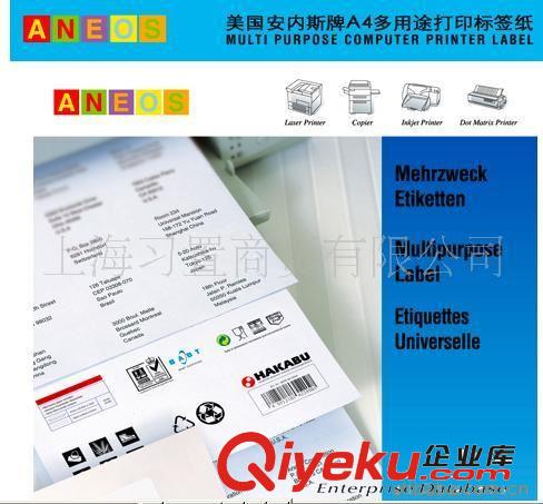 供應(yīng)美國安內(nèi)斯激光打印標(biāo)簽A7161-100原始圖片2