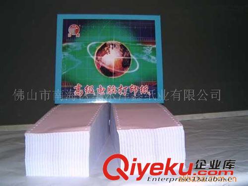 長(zhǎng)期供應(yīng)廣東省政府中標(biāo)日高電腦打印紙?jiān)紙D片2