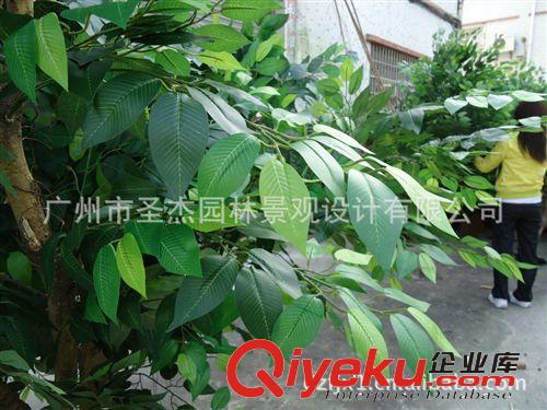 仿真基站樹(shù) 圣杰今年主推爆款各樣式樹(shù)種鍍鋅鋼構(gòu)仿真通信基站樹(shù)
