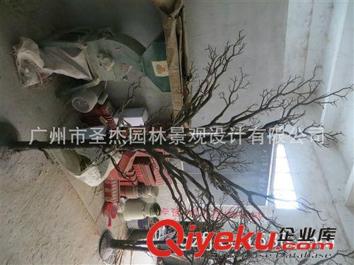 仿真干樹枝 2014年圣杰公司新研發(fā)的室內(nèi)外各款仿真干樹枝原始圖片2