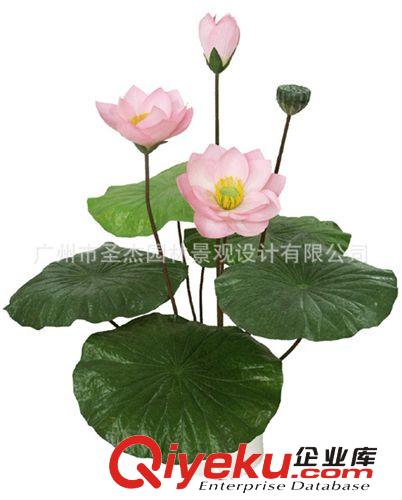 仿真荷花 四川成都今年各場(chǎng)所主推爆款室內(nèi)外仿真植物荷花系列