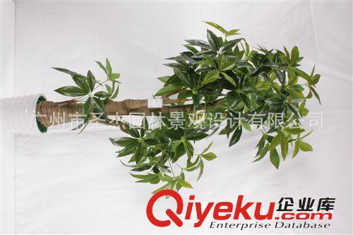 仿真植物 臺(tái)灣zg室內(nèi)外各款仿真植物系類(lèi)原始圖片2