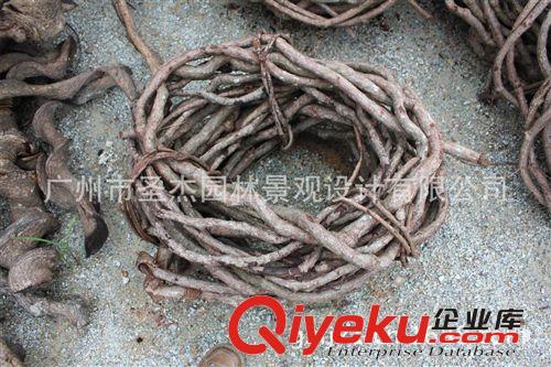 過江龍 圣杰今年在全國主推爆款各室內(nèi)外仿真過江龍系列