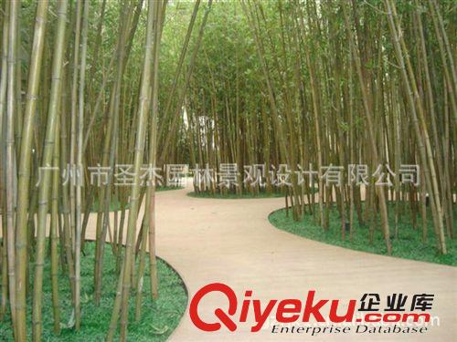仿真竹子 江蘇九龍錦江國際大酒店今年主推爆款各款室內外仿真竹