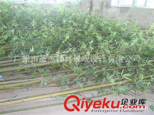 俄羅斯仿真植物gzfjx假福竹