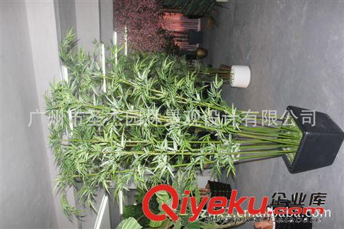 青島煙臺仿真植物fjx假植物竹子系列