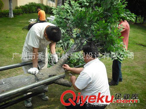 基站樹 圣杰山西太原景區(qū)山上安裝8棵35高的基站樹工程案例原始圖片2