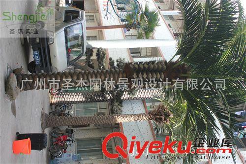 仿真海藻樹 圣杰剛推出一款室內外各款新型仿真海藻樹系列原始圖片3