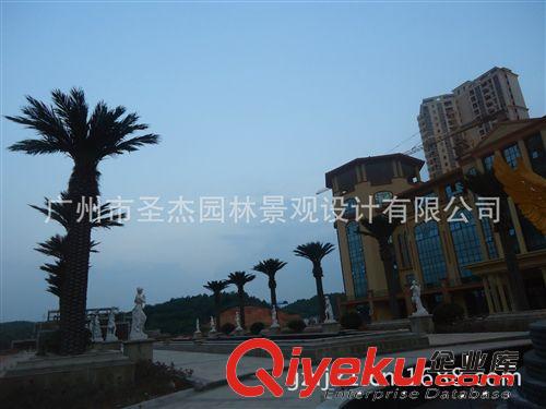 海藻樹 廣州市圣杰今年在湖南幸福莊園工地竣工室外25棵海藻樹