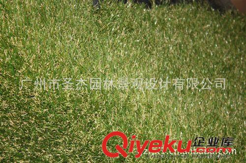 各場所主推爆款各色各樣各款室內(nèi)外草皮系列