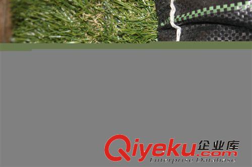 深圳市各網(wǎng)站各商場主推爆款室內(nèi)外仿真草皮系列原始圖片3