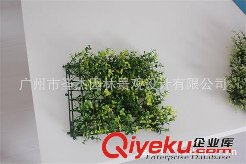 全球各地區(qū)仿真植物主推草球、草皮系列