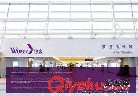品牌logo設(shè)計(jì) vi設(shè)計(jì)策劃原始圖片2