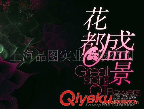 供應(yīng)企業(yè)形象設(shè)計,品牌策劃,品牌設(shè)計(圖)