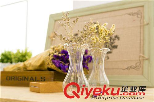 37度 迷你玻璃小花瓶 桌面擺放花器 zakka清新小擺件原始圖片2