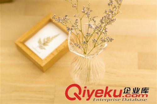 37度 迷你玻璃小花瓶 桌面擺放花器 zakka清新小擺件原始圖片3